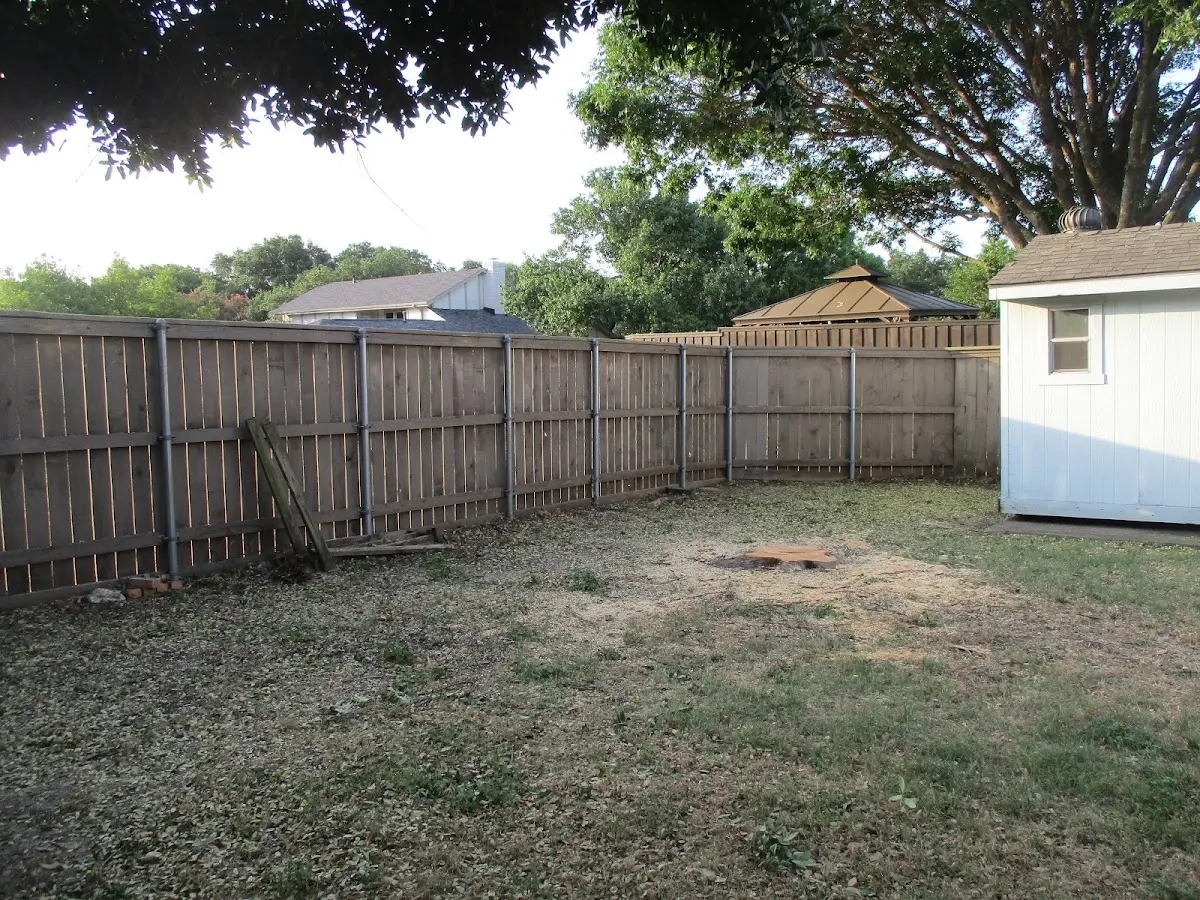Cleared yard after professional tree removal in Delaware City